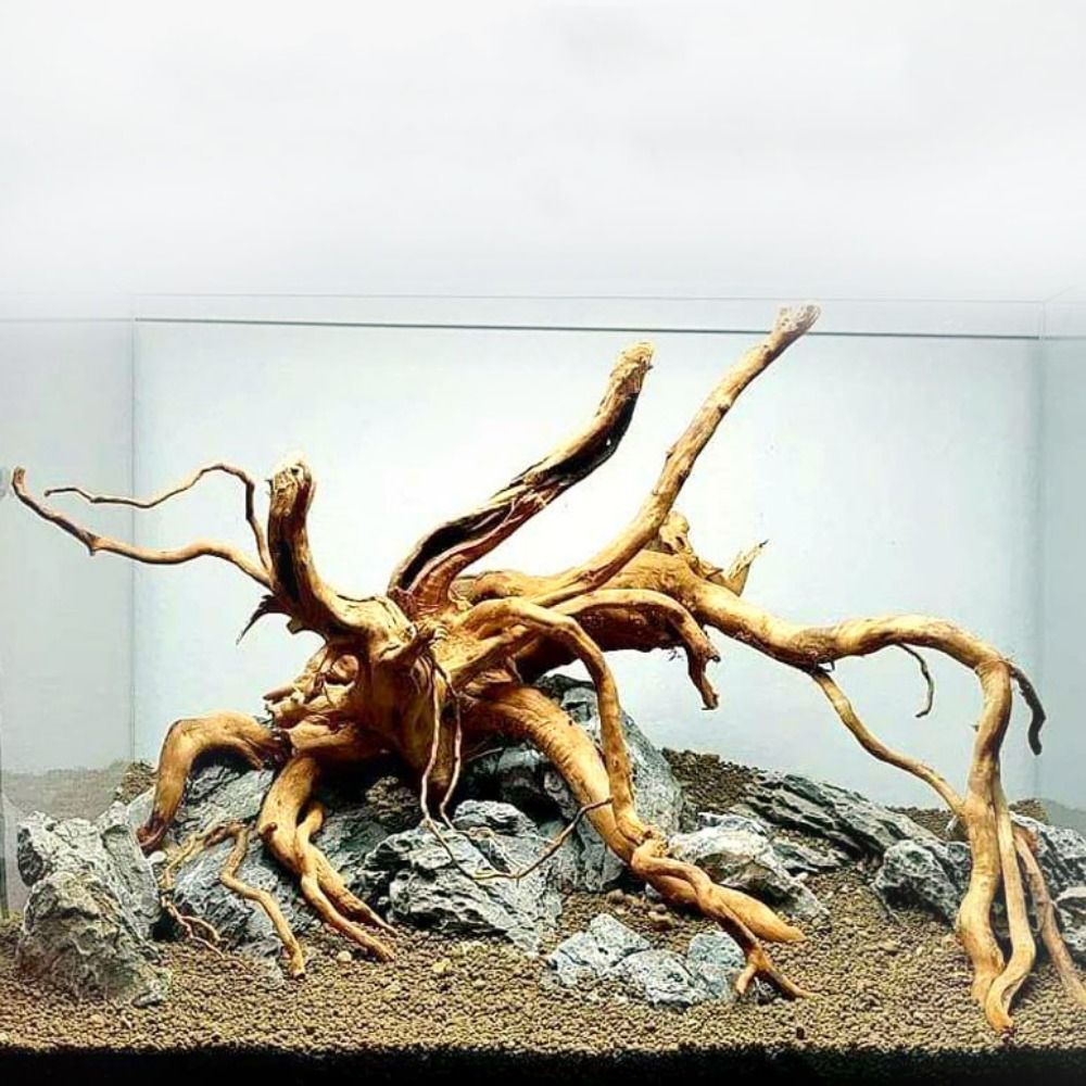 Aquarium Planted Tree - Natural Tree Trunk Aquarium Decoration Wood