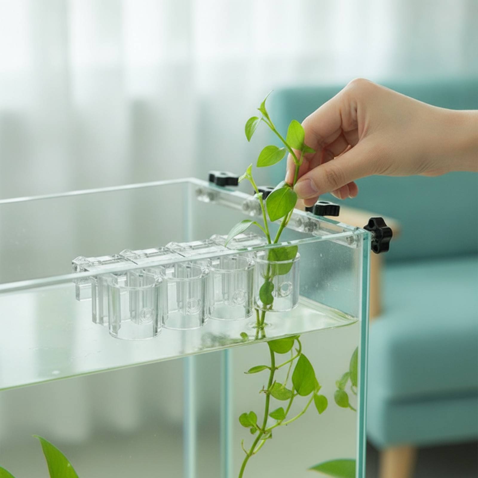 6 Pieces Aquarium Planter Clea - Aquarium Planted Aquarium recension och pris