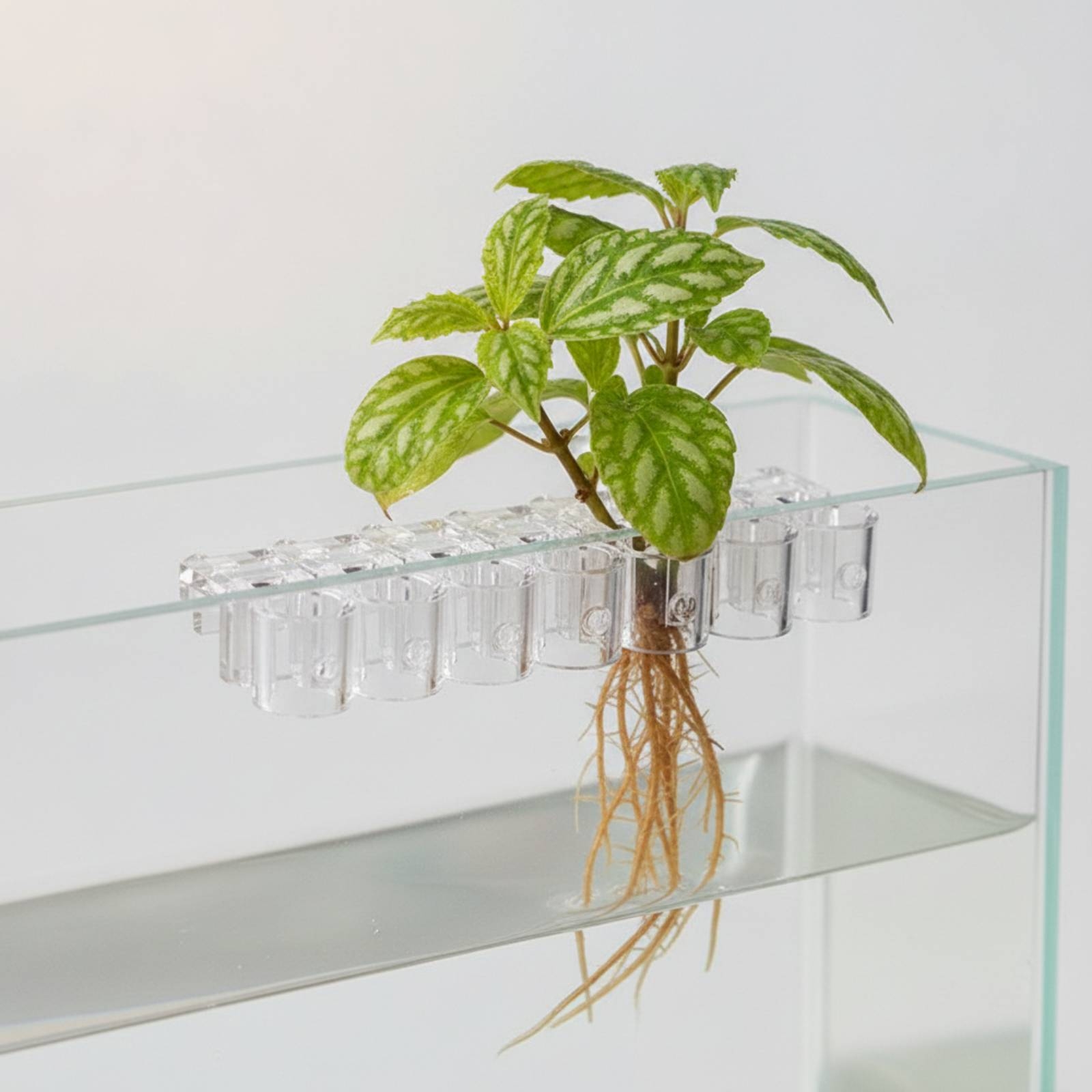 6 Pieces Aquarium Planter Clea - Aquarium Planted Aquarium recension och pris