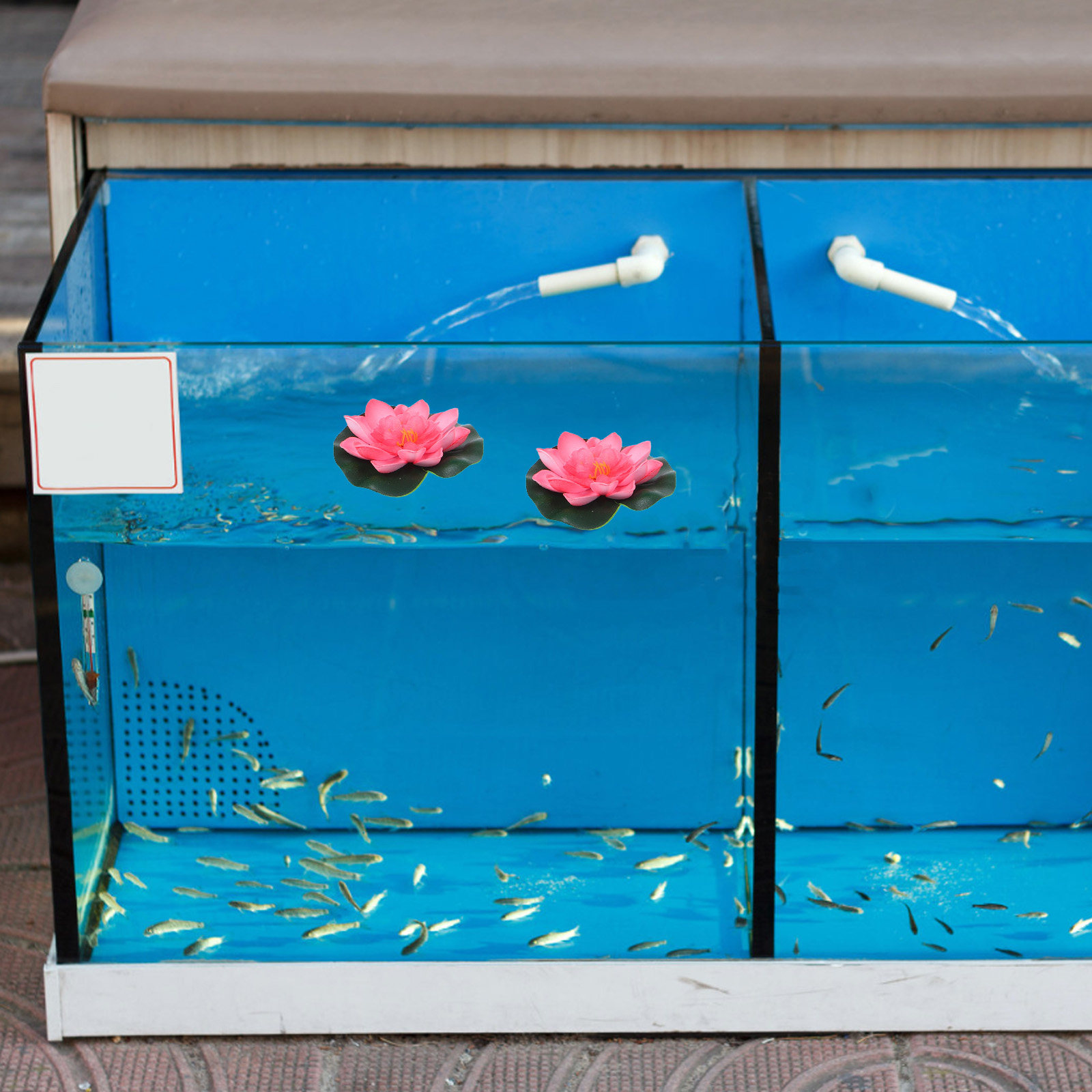 12Pcs Artificial Floating Wate - Aquarium Planted Aquarium recension och pris