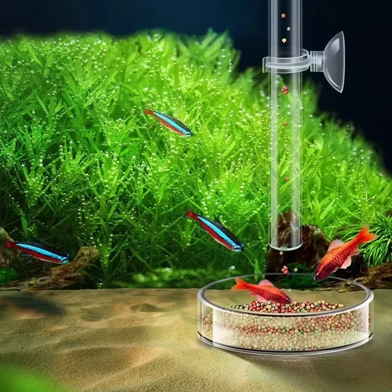 Aquarium Glass Feeding Tube &  - Planted Aquarium Youtube recension och pris