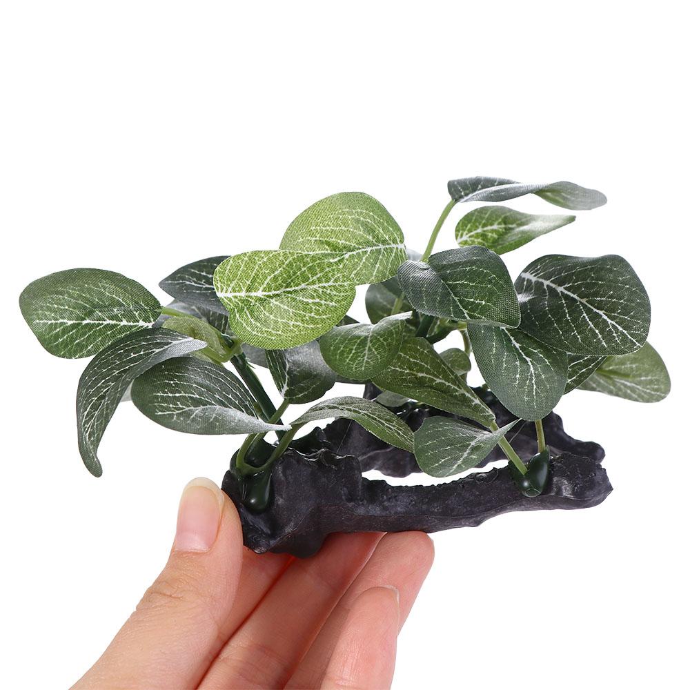 Creative Silk Green Simulated  - Planted Aquarium Jar recension och pris