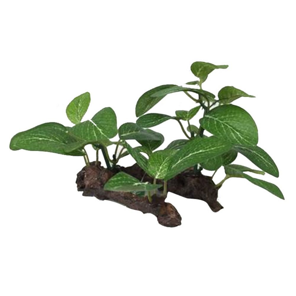 Creative Plastic for Fish Tank - Planted Aquarium Jar recension och pris