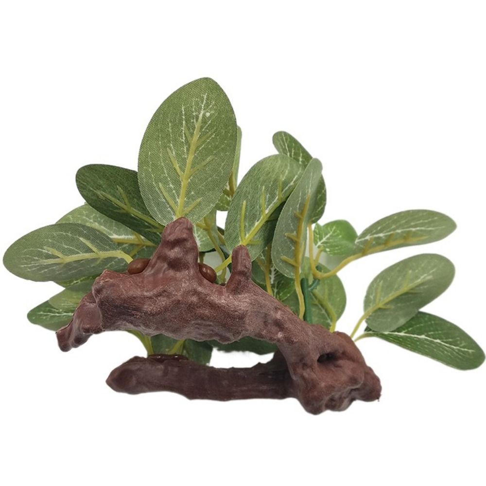 Creative Plastic for Fish Tank - Planted Aquarium Jar recension och pris
