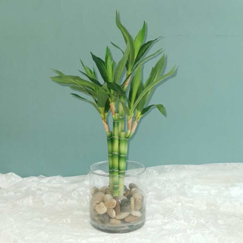 New 40cm Artificial Lucky Bamb - Aquarium Plants Book recension och pris