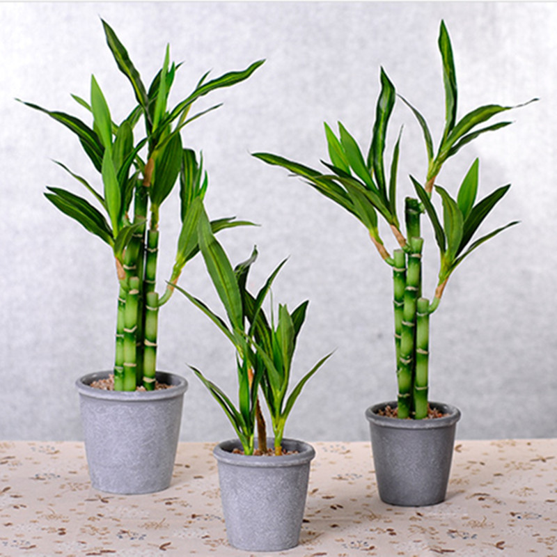 New 40cm Artificial Lucky Bamb - Aquarium Plants Book recension och pris