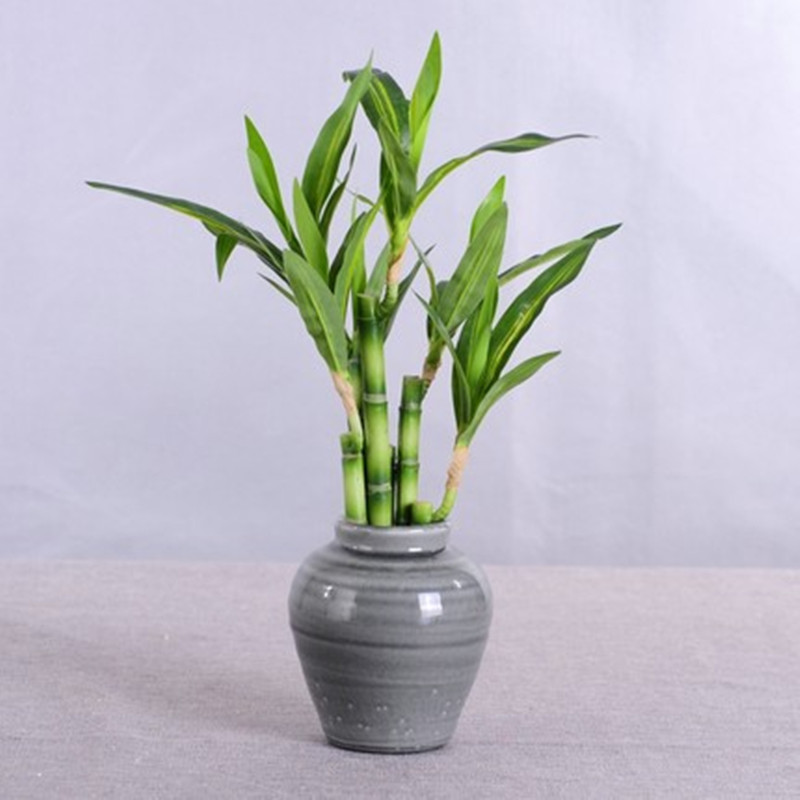 New 40cm Artificial Lucky Bamb - Aquarium Plants Book recension och pris