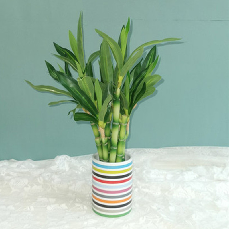 New 40cm Artificial Lucky Bamb - Aquarium Plants Book recension och pris