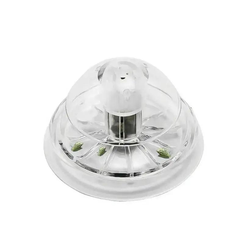 2026 New 6/8CM Clear Plastic S - Aquarium Planted Aquarium recension och pris