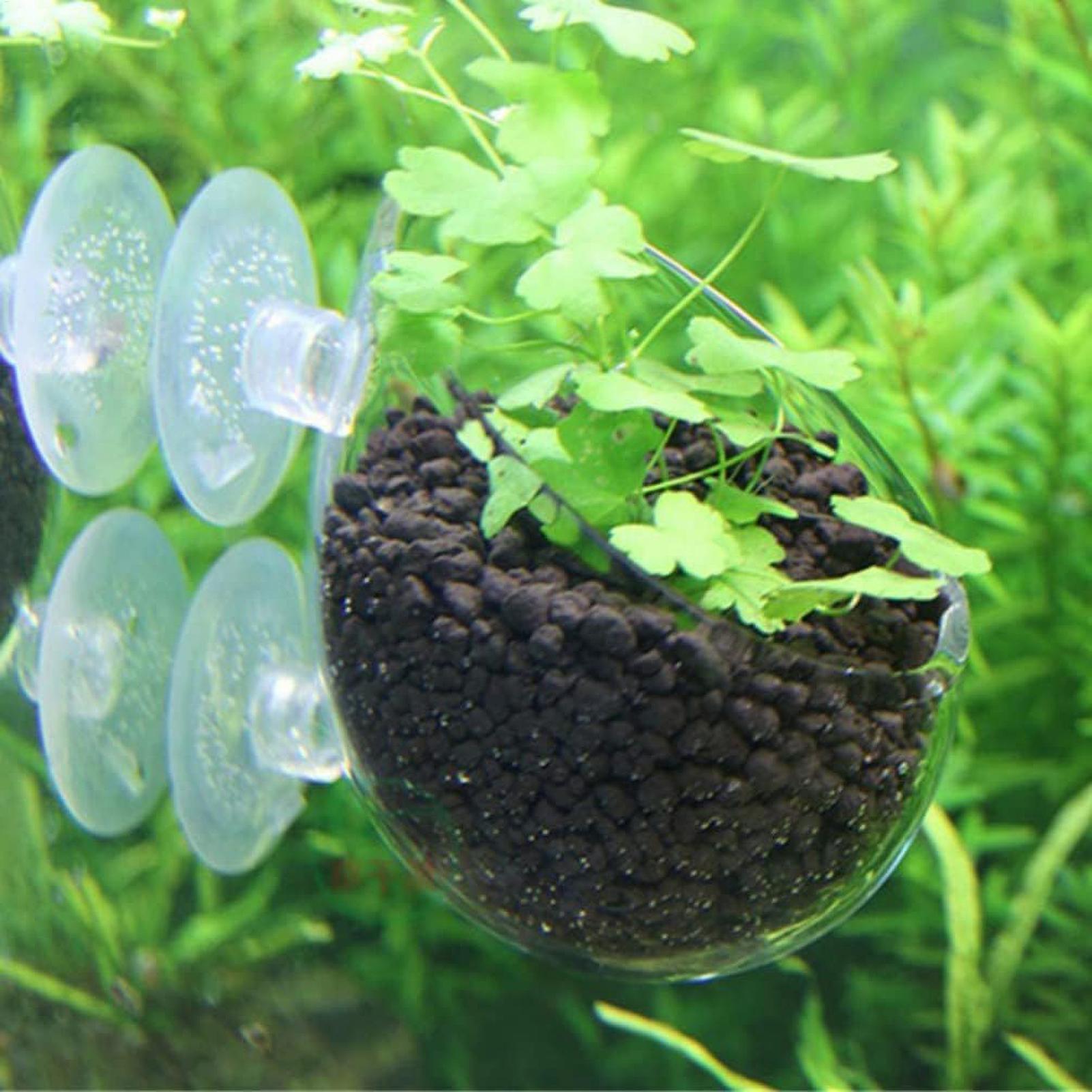 Aquarium Plant Holder Glass Aq - Aquarium Plant Gel recension och pris