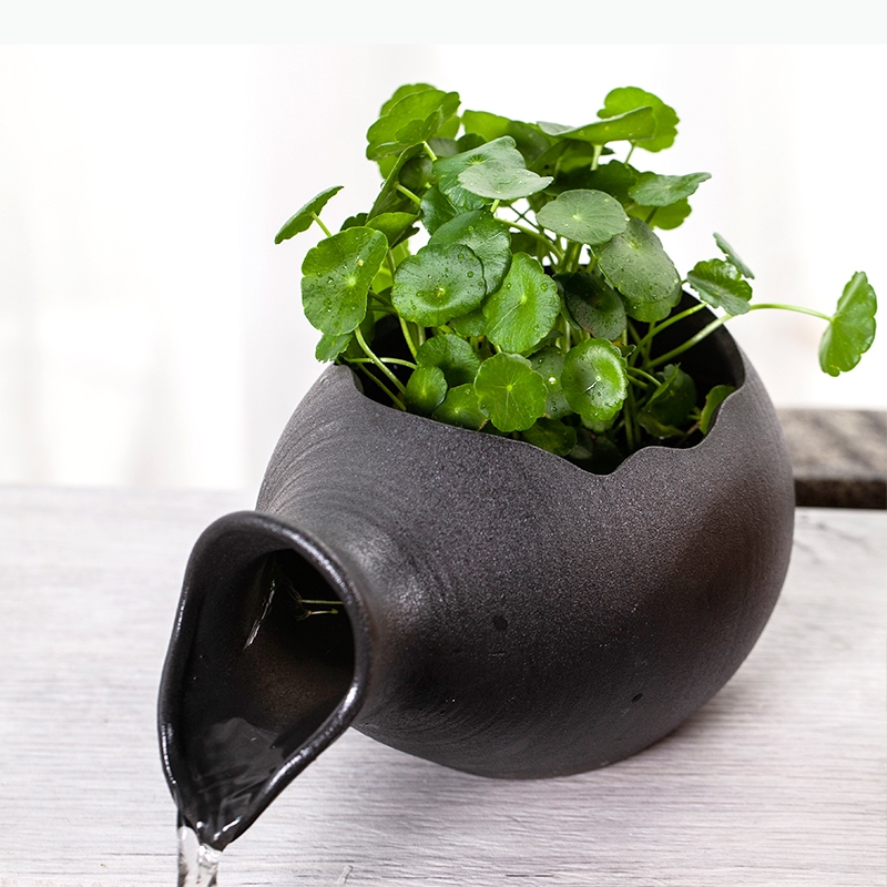 Ceramic Fish Aquariums Fish-fa - Planted Aquarium Jar recension och pris