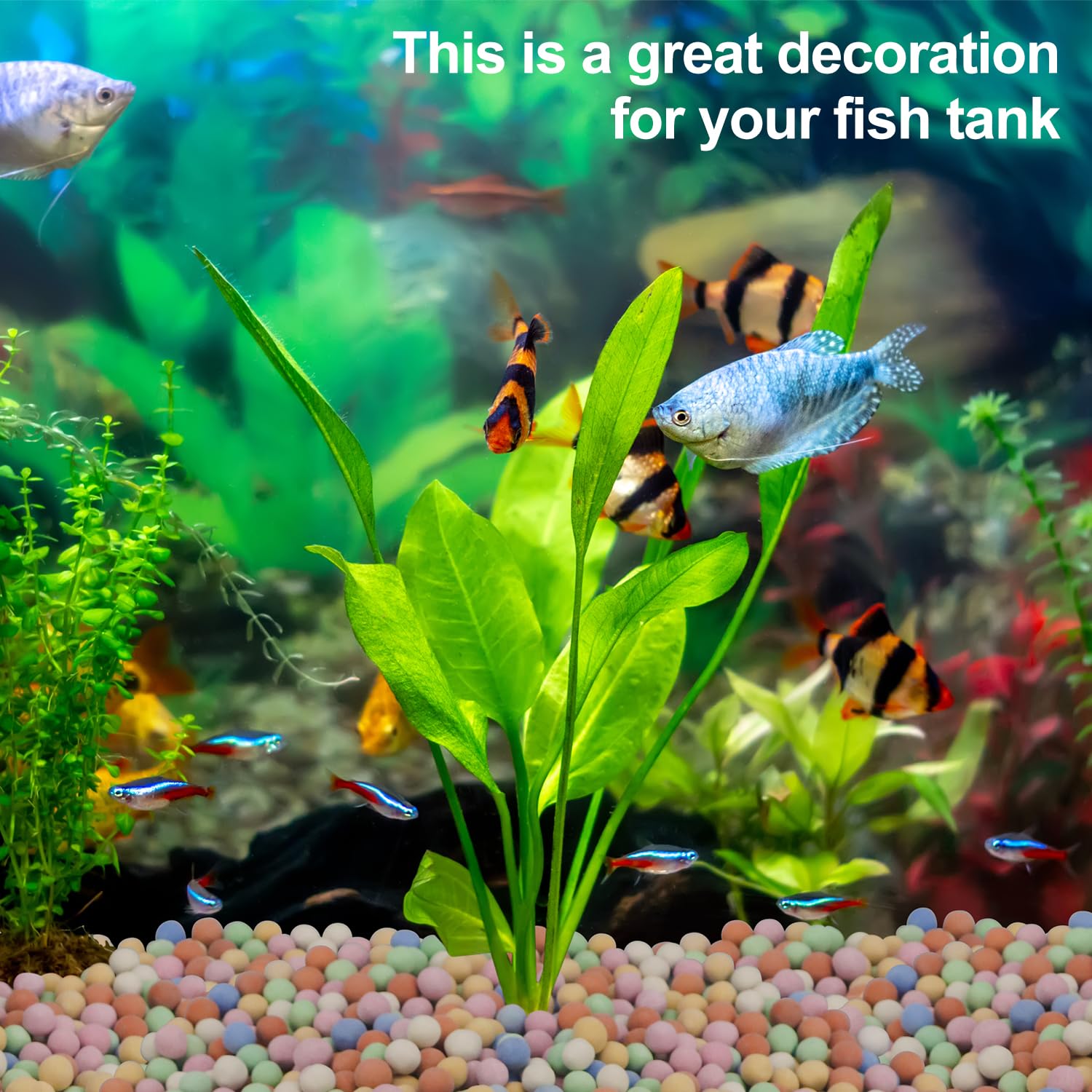Hydroponic Plant Decorative Co - Aquarium Plant Vitamins recension och pris