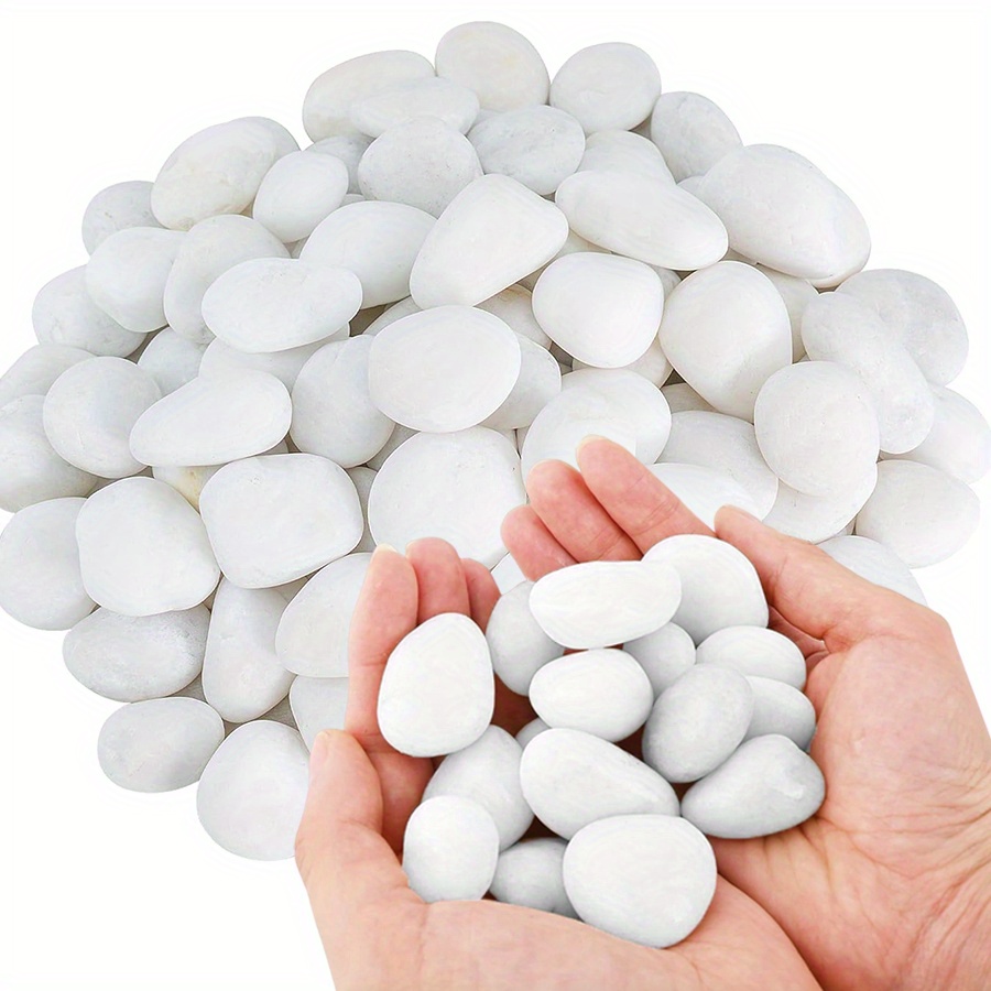 200/400g White High Polished N - Aquarium Plants Book recension och pris