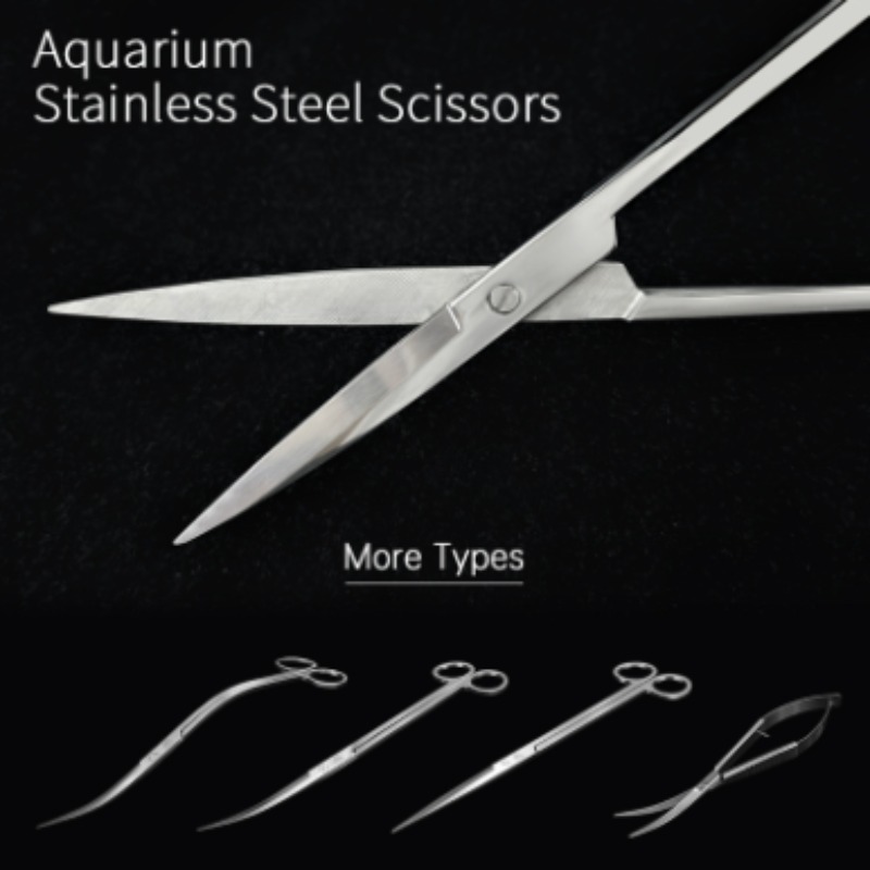 Week Aqua Stainless Steel Aqua - Aquarium Plants Book recension och pris