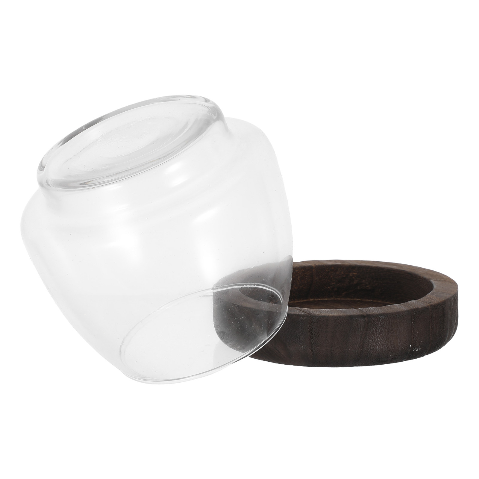 Round Glass Hydroponic Terrari - Planted Aquarium Jar recension och pris