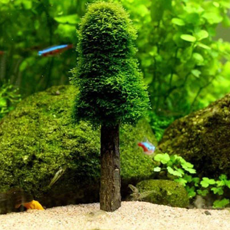 Aquarium Tank Landscape Decor  - Aquarium Planted Tree recension och pris