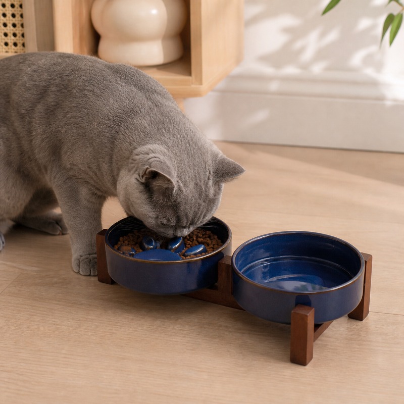 Japanese-style Kiln Ceramic Pe - Royal Canin Food Medium recension och pris