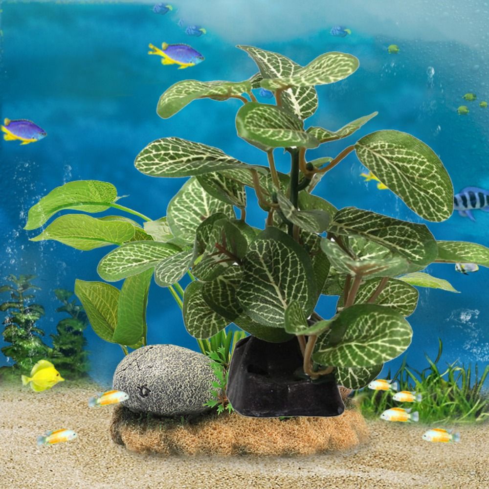 Silk Plastic Green for Fish Ta - Planted Aquarium Jar recension och pris