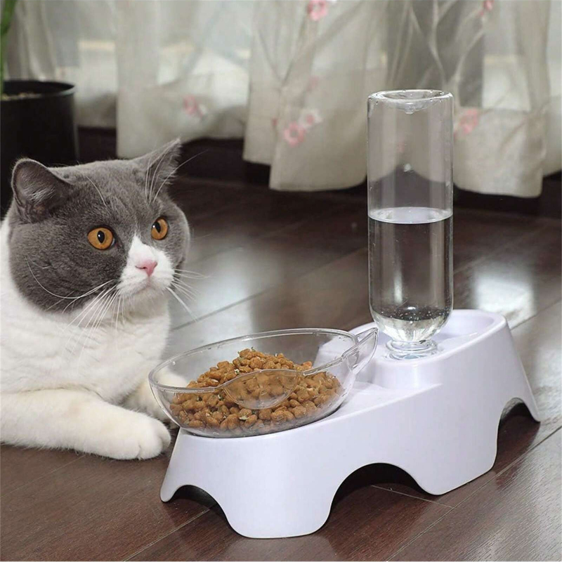 1PC Double Dog Cat Bowls Pets  - Royal Canin Food Medium recension och pris